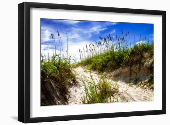 To the Beach II-Alan Hausenflock-Framed Photo