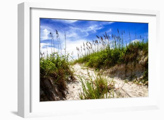 To the Beach II-Alan Hausenflock-Framed Photo