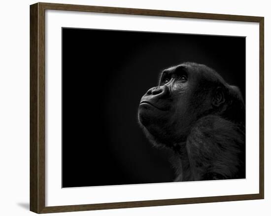 To the Future-Stephen Arens-Framed Photographic Print