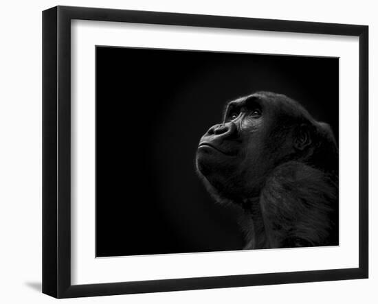 To the Future-Stephen Arens-Framed Photographic Print