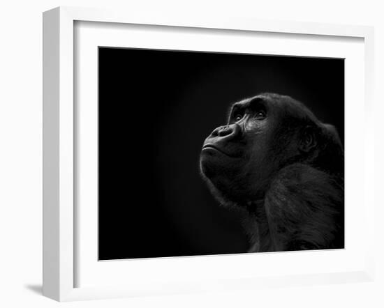 To the Future-Stephen Arens-Framed Photographic Print