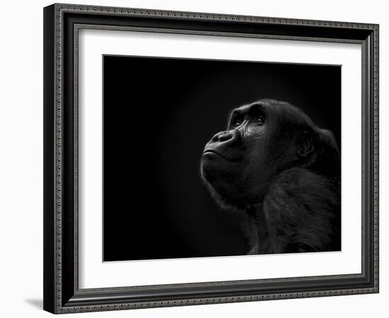 To the Future-Stephen Arens-Framed Photographic Print