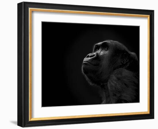 To the Future-Stephen Arens-Framed Photographic Print
