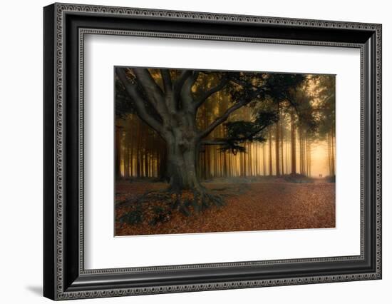 To the light.........-Piet Haaksma-Framed Photographic Print