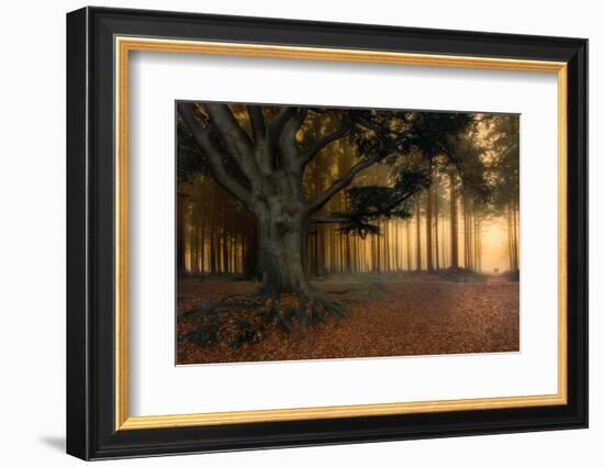To the light.........-Piet Haaksma-Framed Photographic Print