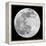 To The Moon 2-Marcus Prime-Framed Premier Image Canvas