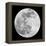 To The Moon 2-Marcus Prime-Framed Premier Image Canvas