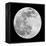 To The Moon 2-Marcus Prime-Framed Premier Image Canvas