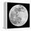 To The Moon 2-Marcus Prime-Framed Premier Image Canvas