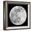 To The Moon 2-Marcus Prime-Framed Photographic Print