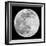 To The Moon 2-Marcus Prime-Framed Photographic Print