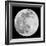 To The Moon 2-Marcus Prime-Framed Photographic Print