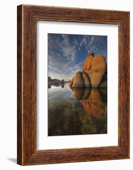 To the Point-Bob Larson-Framed Art Print