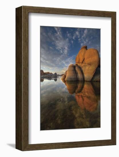 To the Point-Bob Larson-Framed Art Print