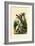 Toad, 1833-39-null-Framed Giclee Print