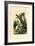 Toad, 1833-39-null-Framed Giclee Print