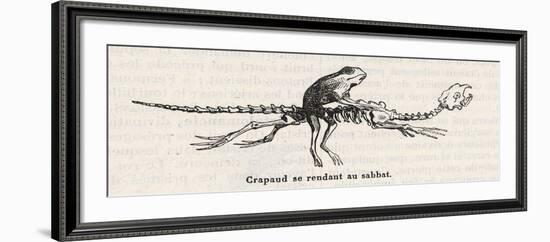 Toad, a Witches" "Familiar", Rides to the Sabbat Mounted on an Animal Skeleton-Collin De Plancy-Framed Art Print