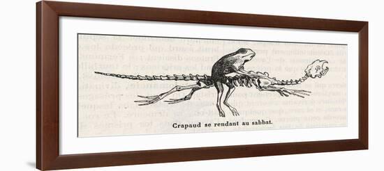 Toad, a Witches" "Familiar", Rides to the Sabbat Mounted on an Animal Skeleton-Collin De Plancy-Framed Art Print