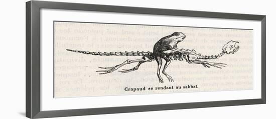 Toad, a Witches" "Familiar", Rides to the Sabbat Mounted on an Animal Skeleton-Collin De Plancy-Framed Art Print
