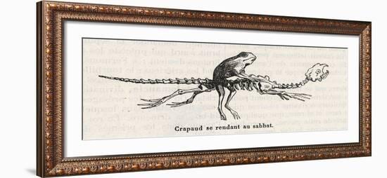 Toad, a Witches" "Familiar", Rides to the Sabbat Mounted on an Animal Skeleton-Collin De Plancy-Framed Art Print