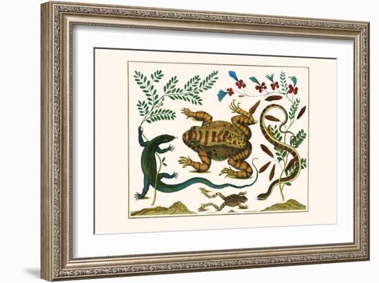 Toad, Lizard, Serpentes, Leopard Frog, Capers-Albertus Seba-Framed Art Print