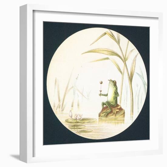 Toad Sitting on Rock in Pond, Card-null-Framed Premium Giclee Print