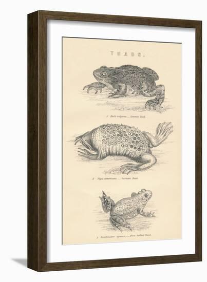 Toads, 1885-null-Framed Giclee Print