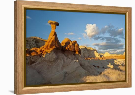 Toadstool Near Kanab, Utah and Page Arizona. Grand Staircase-Escalante-Howie Garber-Framed Premier Image Canvas