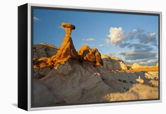 Toadstool Near Kanab, Utah and Page Arizona. Grand Staircase-Escalante-Howie Garber-Framed Premier Image Canvas