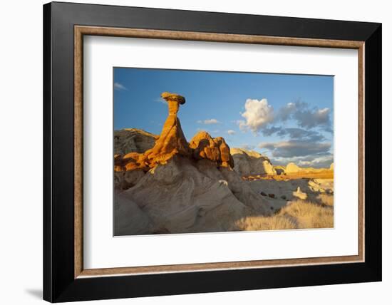 Toadstool Near Kanab, Utah and Page Arizona. Grand Staircase-Escalante-Howie Garber-Framed Photographic Print