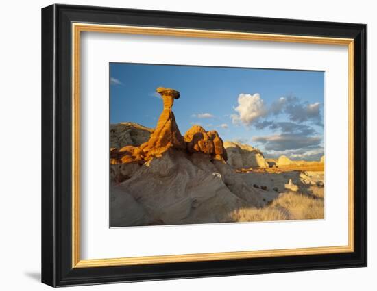 Toadstool Near Kanab, Utah and Page Arizona. Grand Staircase-Escalante-Howie Garber-Framed Photographic Print