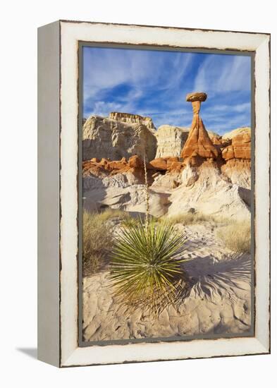 Toadstool Paria Rimrocks with Yucca Plant, Grand Staircase-Escalante Nat'l Monument, Utah, USA-Neale Clark-Framed Premier Image Canvas