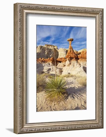 Toadstool Paria Rimrocks with Yucca Plant, Grand Staircase-Escalante Nat'l Monument, Utah, USA-Neale Clark-Framed Photographic Print