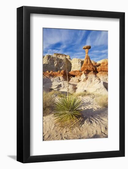 Toadstool Paria Rimrocks with Yucca Plant, Grand Staircase-Escalante Nat'l Monument, Utah, USA-Neale Clark-Framed Photographic Print