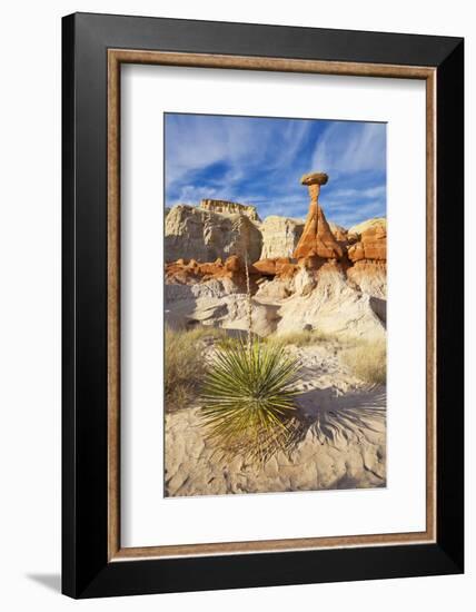 Toadstool Paria Rimrocks with Yucca Plant, Grand Staircase-Escalante Nat'l Monument, Utah, USA-Neale Clark-Framed Photographic Print