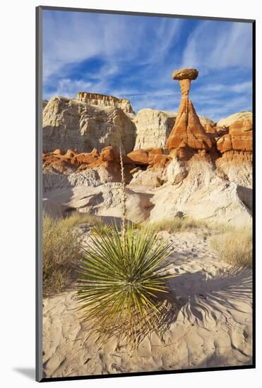 Toadstool Paria Rimrocks with Yucca Plant, Grand Staircase-Escalante Nat'l Monument, Utah, USA-Neale Clark-Mounted Photographic Print