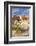 Toadstool Paria Rimrocks with Yucca Plant, Grand Staircase-Escalante Nat'l Monument, Utah, USA-Neale Clark-Framed Photographic Print