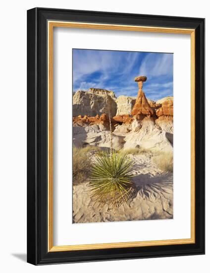 Toadstool Paria Rimrocks with Yucca Plant, Grand Staircase-Escalante Nat'l Monument, Utah, USA-Neale Clark-Framed Photographic Print