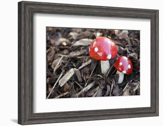 Toadstools, Artificially, Forest Floor-Nikky Maier-Framed Photographic Print