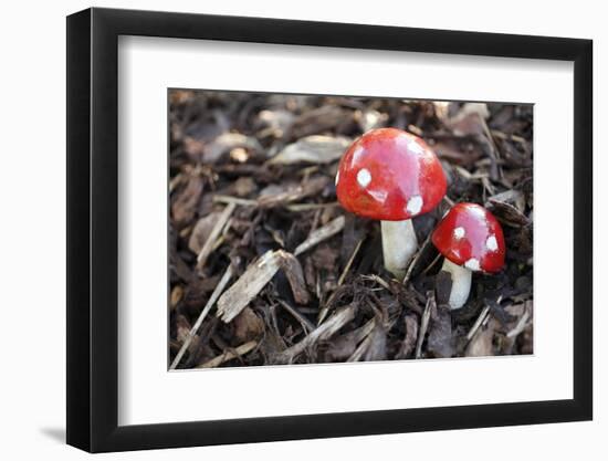 Toadstools, Artificially, Forest Floor-Nikky Maier-Framed Photographic Print