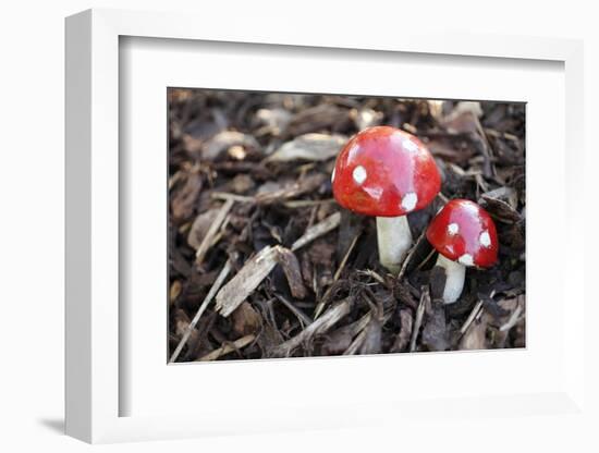 Toadstools, Artificially, Forest Floor-Nikky Maier-Framed Photographic Print