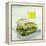 Toasted Cheese Sandwich-David Munns-Framed Premier Image Canvas