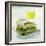 Toasted Cheese Sandwich-David Munns-Framed Premium Photographic Print