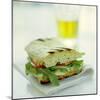 Toasted Cheese Sandwich-David Munns-Mounted Premium Photographic Print