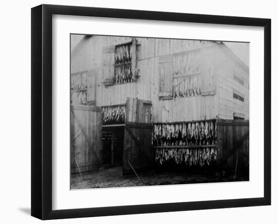 Photo, , large