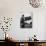 Tobacco Farmer Holding Dried Tobacco Leaves-Peter Stackpole-Photographic Print displayed on a wall