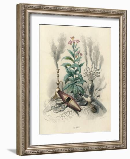 Tobacco, Grandville-null-Framed Art Print