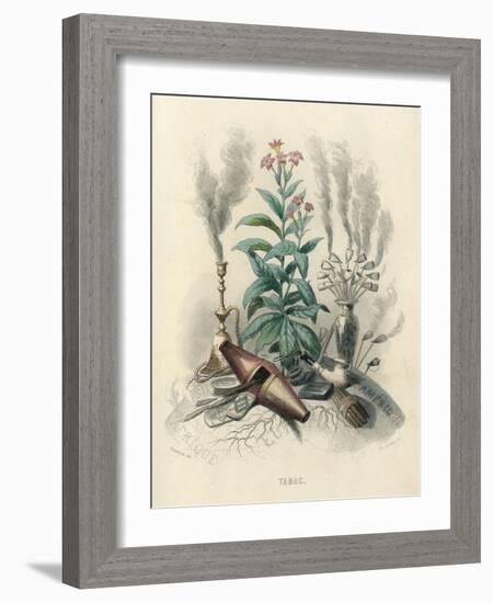 Tobacco, Grandville-null-Framed Art Print