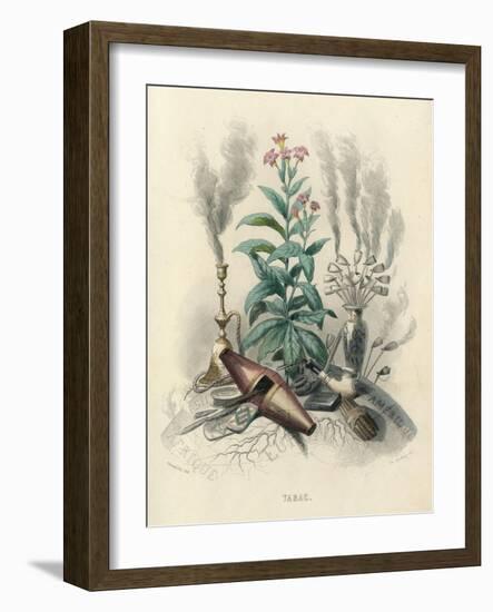 Tobacco, Grandville-null-Framed Art Print