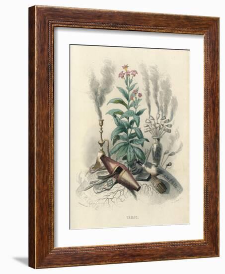 Tobacco, Grandville-null-Framed Art Print